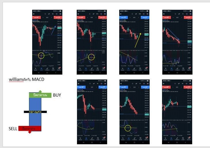 การใช้เทคโนโลยีดิจิทัลเพื่ออาชีพ