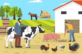 หลักการเลี้ยงสัตว์ 